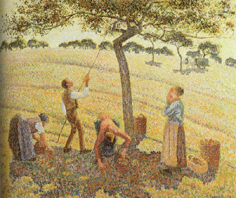 Camille Pissarro Pick  Apples France oil painting art